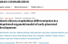 UTS科學(xué)家生物3D打印微型胎盤模型，推進妊娠并發(fā)癥研究