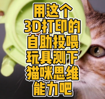 3D打印的貓咪自助投喂玩具模型數(shù)據(jù)分享