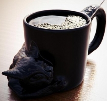curious cat mug ؈cR˱Ϟһw߀cɰStyle